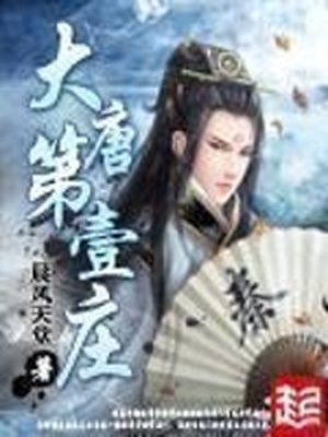 大唐第一庄TXT