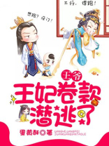 王爷,王妃卷款逃跑了免费