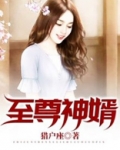 至尊神婿小说
