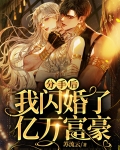 分手后,我闪婚了亿万富豪
