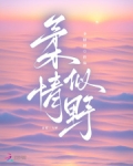 柔情似野
