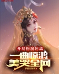 开局扮演阿离的小说