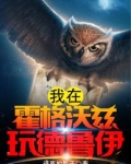 我在霍格沃茨玩德鲁伊