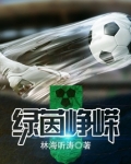绿茵峥嵘