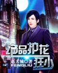 绝品护花保镖小说