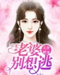 天价婚宠:老婆别想逃