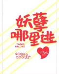 妖孽哪里逃小说