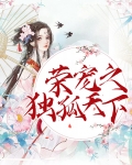 荣宠之独孤天下小说