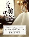 完美平台代打