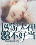 穿越未来：网游大神不好当