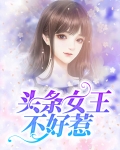 女王妈妈不好惹电视剧