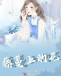 藤蔓上的花朵