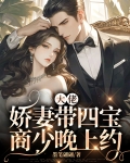 大佬娇妻带四宝，商少晚上约