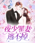 第一章夜少宠妻成瘾