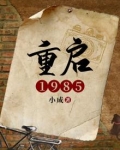 重启1985之巅峰岁月