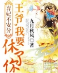 弃妃不安分:王爷,我要休了你小说