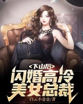 下山后,闪婚高冷美女总裁