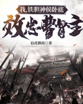 主角是铁胆神侯的小说