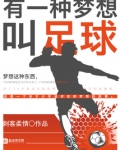 有一种梦想叫足球 小说
