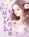 陆少夫人酷又甜