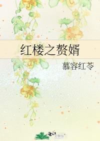 红楼之赘婿难为炸猪排