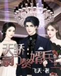 天骄豪门赘婿兵王