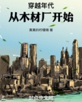 穿越年代从木材厂开始
