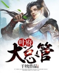叶府是什么电视剧