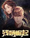 霸婿崛起结局