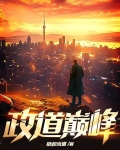 政道小说