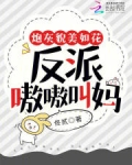 炮灰貌美如花，反派嗷嗷叫妈