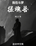 我在斗罗搓魂兽