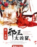 第一女相:邪王太凶猛作者小说