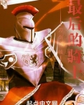 刀剑神域:最后的骑士