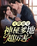 天降双宝寻爹记免费阅读