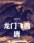 龙门飞甲百度百科