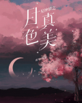 一见钟情之月色真美