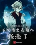 在灭族之夜前我叛逃了