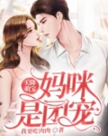 天降萌宝妈咪得宠着