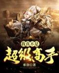 我真真不是高手