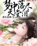 泪落在梦中