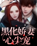 黑化反派心尖宠