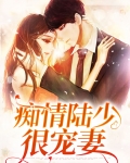 痴情陆少很宠妻全文阅读