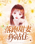 落跑甜妻误惹高冷总裁txt