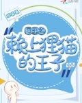 网王之赖上越前龙马