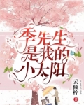 叶先生的小太阳全文阅读