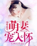 强婚霸爱：萌妻宠入怀