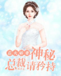 神秘总裁惹不起娇妻似火
