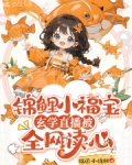 锦鲤小福宝全文免费阅读