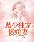 慕少独宠傲娇妻